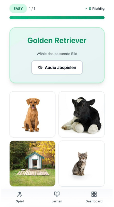 Wort-Bild-Übung mit Audio